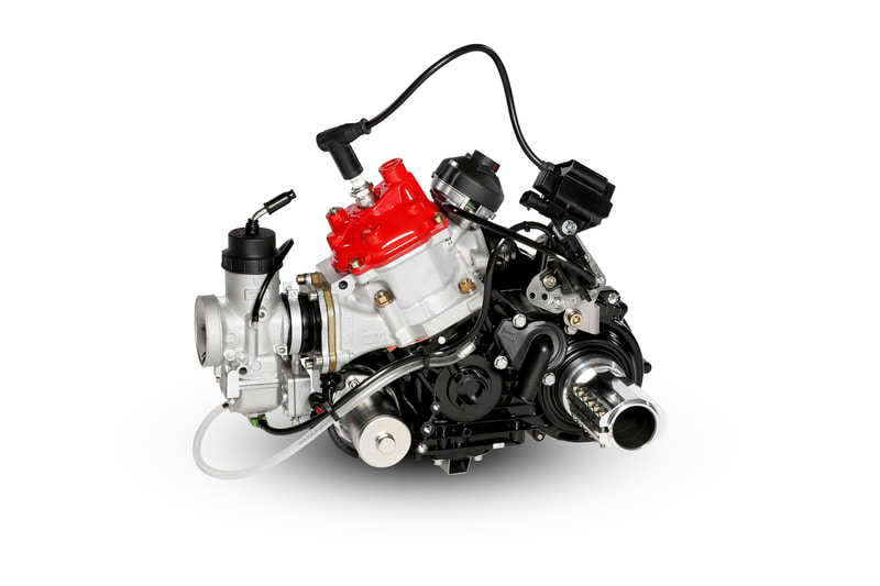 Rotax DD2