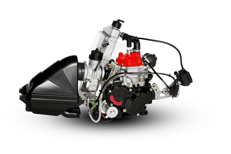 Rotax Senior